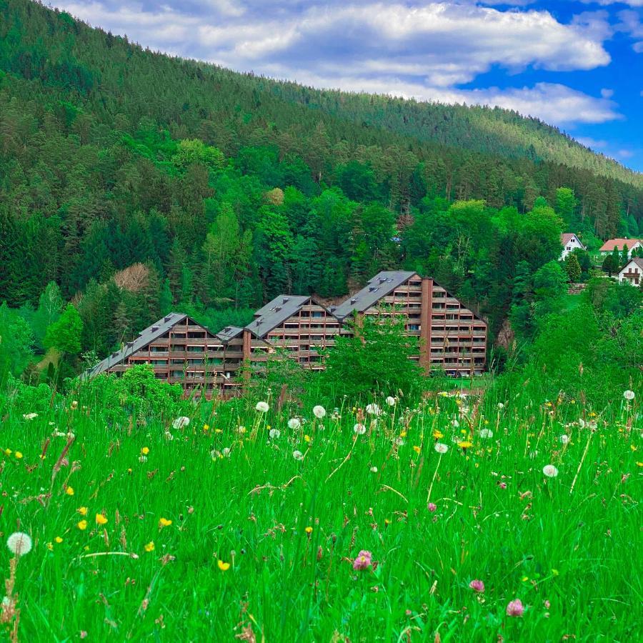 Ferienwohnung Guenter Im Tonbachtal Baiersbronn Luaran gambar
